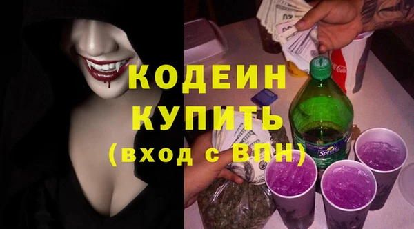 шишки Елабуга