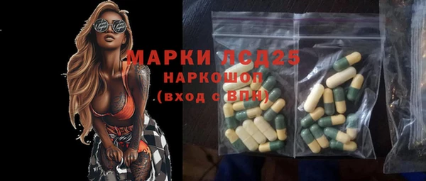 шишки Елабуга