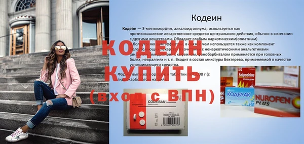 шишки Елабуга